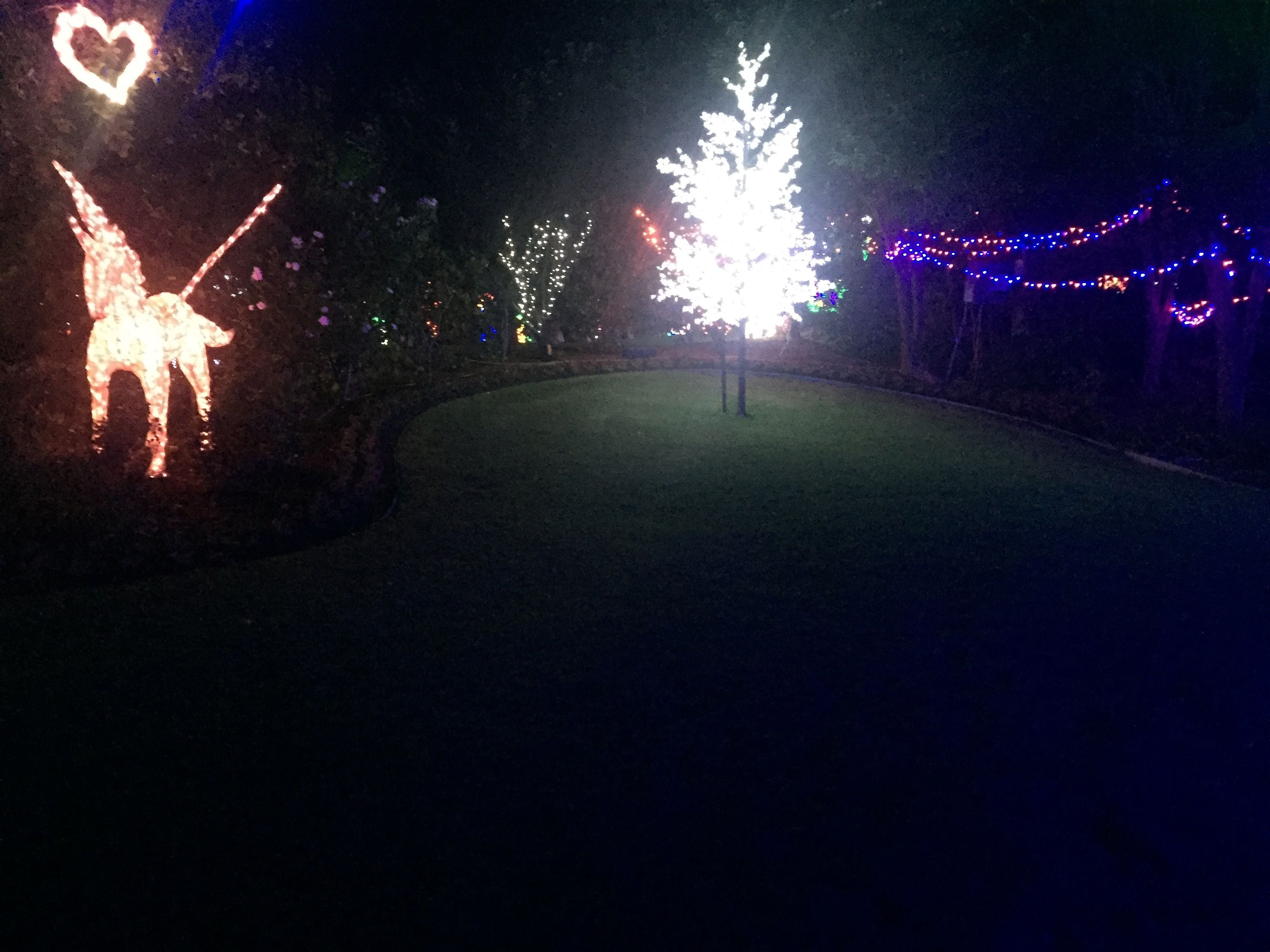 Hunter Valley Christmas Lights Spectacular Image -5b3abbdd06560
